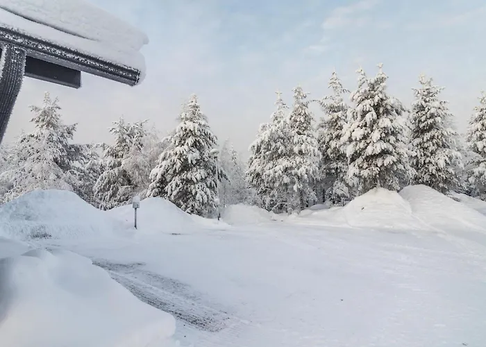 Kotomaenty 2 By Interhome * Рука